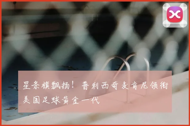 星条旗飘扬！普利西奇麦肯尼领衔美国足球黄金一代